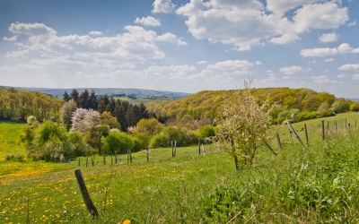 Waarom de Ardennen een ideale vakantiebestemming zijn voor de lente